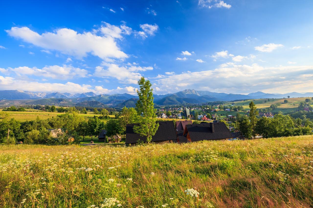 Domki Tatrzanski Ogrod Regional Houses Zakopane Dış mekan fotoğraf