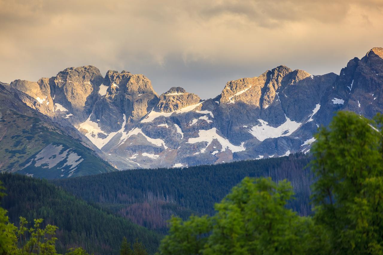 Domki Tatrzanski Ogrod Regional Houses Zakopane Dış mekan fotoğraf