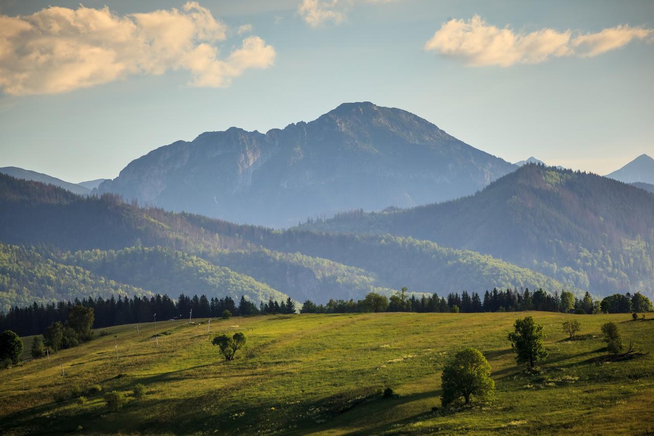 Domki Tatrzanski Ogrod Regional Houses Zakopane Dış mekan fotoğraf