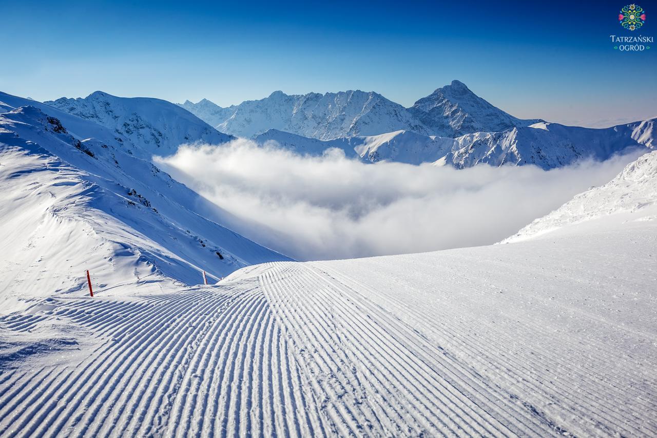 Domki Tatrzanski Ogrod Regional Houses Zakopane Dış mekan fotoğraf